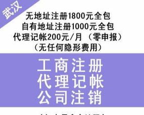 漢口專業財稅服務 財務代理、內賬外賬管理、一般納稅人申請、清理舊賬與代辦貸款申報一站式解決方案